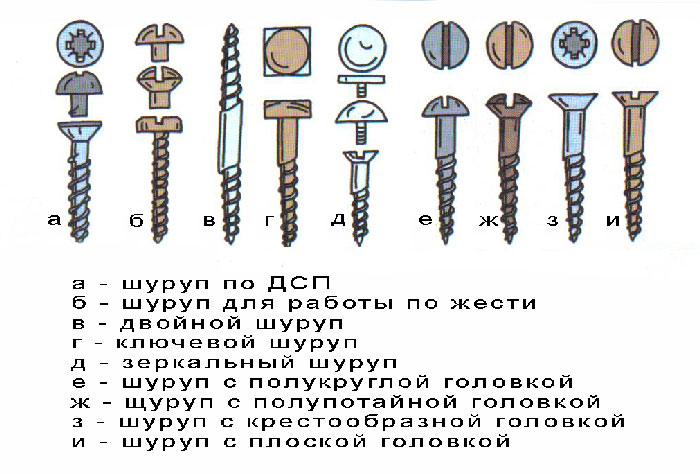 raznovidnosrti-shurupov.jpg