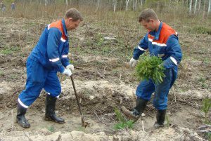 ОАО «МРСК Центра и Приволжья» продолжает восстанавливать природный баланс