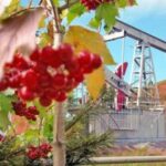 «Славнефть» подтвердила оценку «6+» Рейтинга корпоративного управления