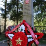 Расчистка и расширение просек – залог надежного энергоснабжения потребителей