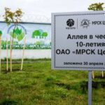 Курские энергетики готовы к сезону массовых ремонтных работ