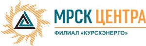 Специалисты Курскэнерго провели урок электробезопасности для учителей