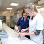Специалисты Курскэнерго в 2017 году расчистят от растительности 850 га просек ЛЭП для предупреждения аварий