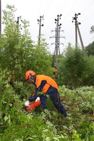 Липецкэнерго повышает надежность линий электропередачи