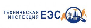Главным инспектором ЗАО «Техническая инспекция ЕЭС» назначен Павел Голубев