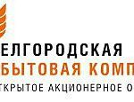 Специалисты ОАО «Смоленскэнергосбыт» провели уроки энергосбережения для школьников