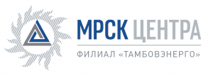 Специалисты Тамбовэнерго помогли коллегам из Калужской области ликвидировать последствия ледяного дождя