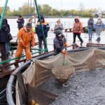 В энергосистеме Курской области прошли учения по ликвидации условной аварии в условиях низких темпер