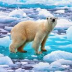 Корпусная продукция для электрощитового и телекоммуникационного оборудования