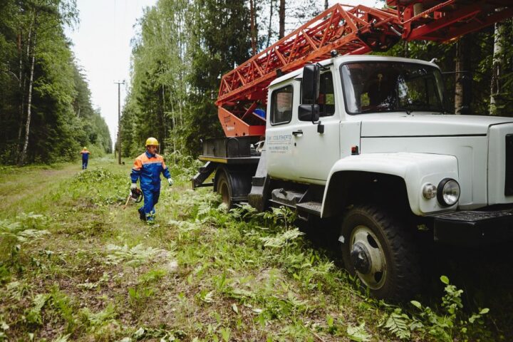 В Подмосковье расчищено более 120 га просек линий электропередачи