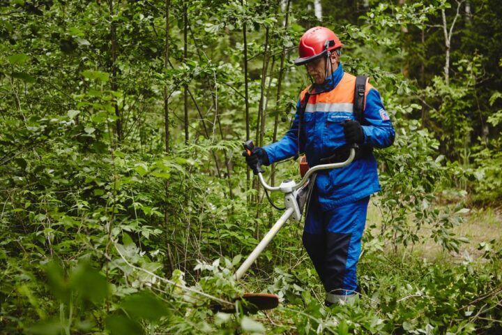 В Подмосковье расчищено более 197 га просек линий электропередачи