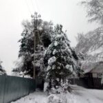 РОССИЙСКИМ МИКРОЭЛЕКТРОНИКЕ И ПО ОТДАЮТ ПРЕДПОЧТЕНИЕ НА ГОСЗАКУПКАХ