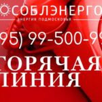 «Россети ФСК ЕЭС» установила птицезащитные устройства на 20 ЛЭП Кемеровской и Томской областей