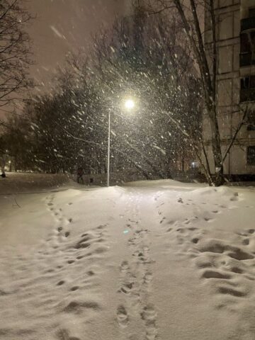 В снегопад дизельные электростанции АО «Мособлэнерго» были привлечены в 2 районах Подмосковья