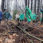 Низкие темпы газификации российских регионов могут быть обусловлены убытками «Газпроммежрегионгаза»