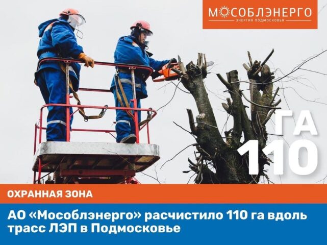 АО «Мособлэнерго» расчистило 110 га вдоль трасс ЛЭП в Подмосковье
