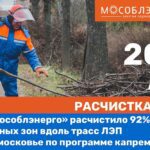 Филиал ПАО «Россети» установит более 24 тыс. птицезащитных устройств на сибирских ЛЭП