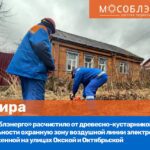 АО «Мособлэнерго» заменит 3 км линий электропередачи в Чехове