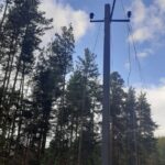ООО «Транснефть – Балтика» выпустило более 2,66 млн личинок щуки в Рыбинское водохранилище