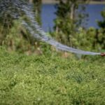 МАГАТЭ утвердило программу сотрудничества с Чадом на 2024–2029 годы