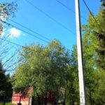 МАГАТЭ оценило долгосрочную эксплуатацию АЭС Михама-3