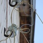 Труду – признанье и почёт: ко дню рождения ЮАИЗ передовики удостоены наград