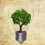 ОАО «МОЭК» получит кредиты от Сбербанка