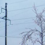На приморских электростанциях стартовала традиционная акция «Елочка»