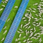 The-Multi-Benefits-of-Solar-PV-Plants-to-Their-Surrounding-Environment-Tile.jpg